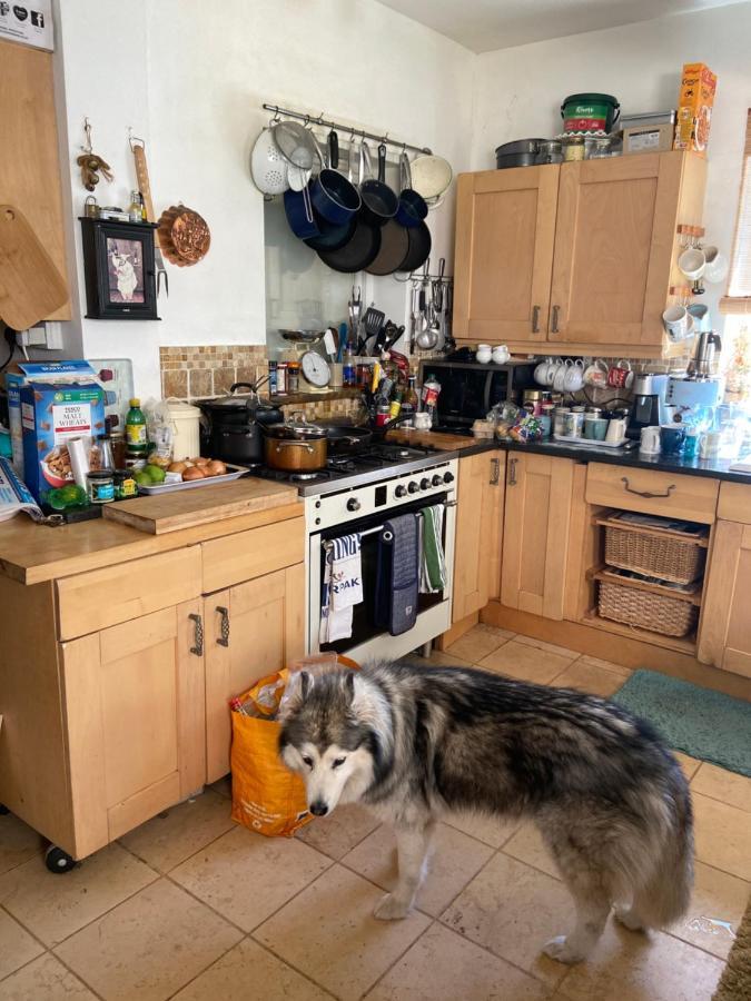 Comfy Cosy Little Room Tv Fridge Microwave Upton  المظهر الخارجي الصورة